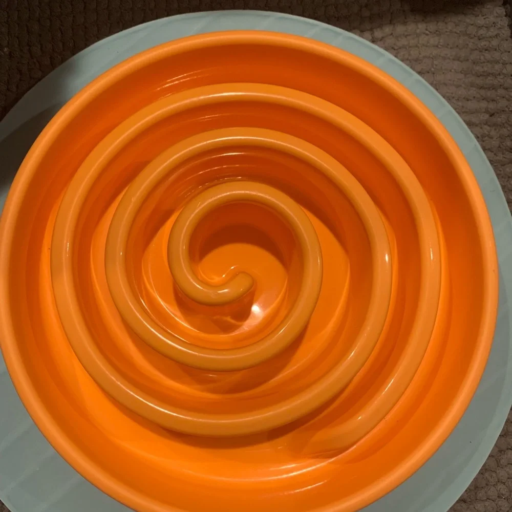 Slow Feeder Bowl Outward Hound